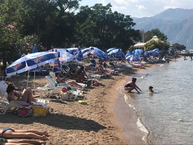 Villa Nikola コトル エクステリア 写真