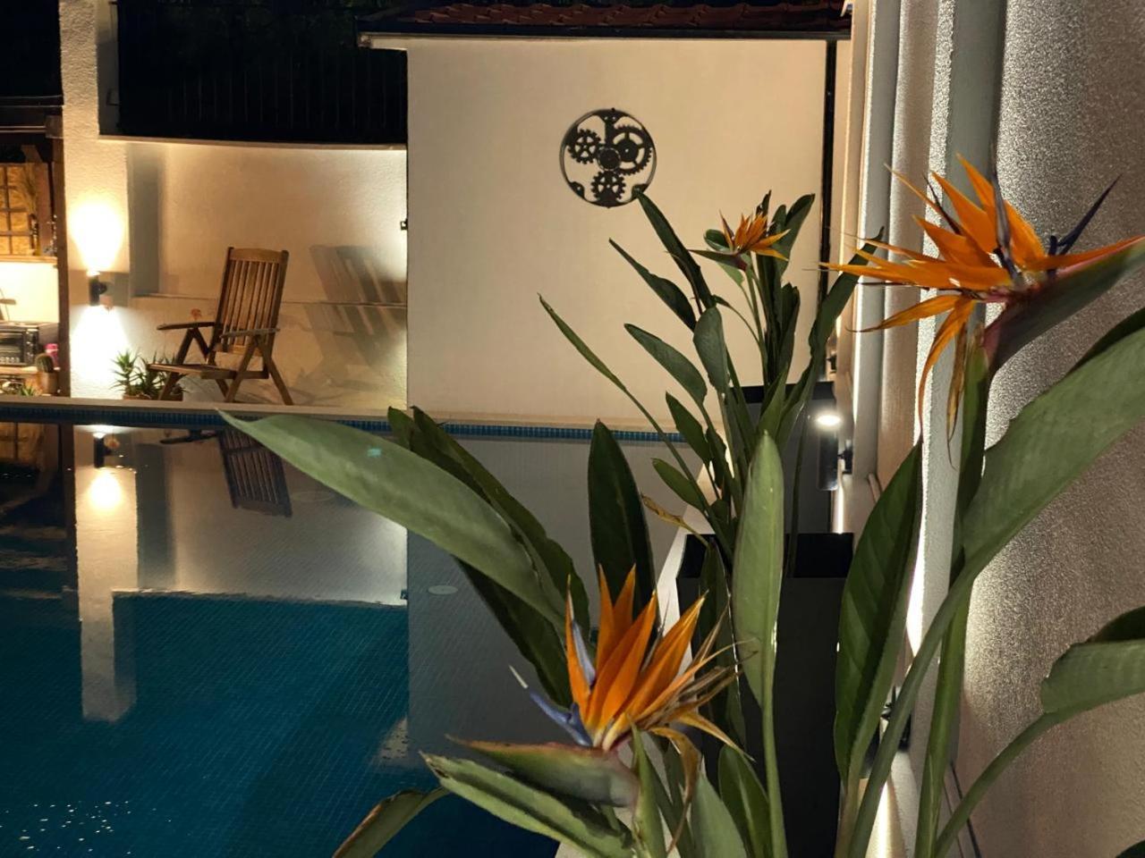Villa Nikola コトル エクステリア 写真
